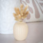 Queue de lapin dans vase boule