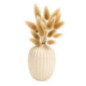 Queue de lapin dans vase boule