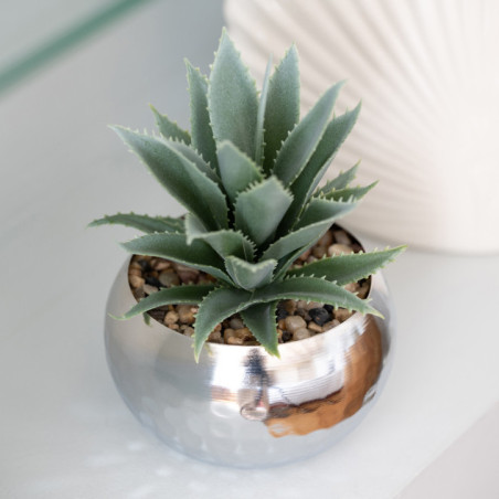 Succulente pot chrome