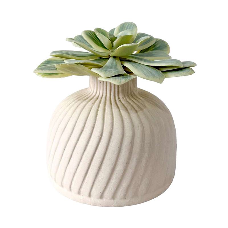Succulente dans pot stre
