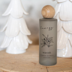 Spray d'ambiance givre 100ml