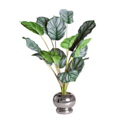Plante pot chrome