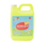 Solution a bulles 2l