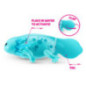 Axolotl pets alive
