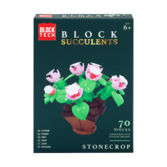 Succulentes a construire 4as