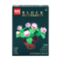 Succulentes a construire 4as