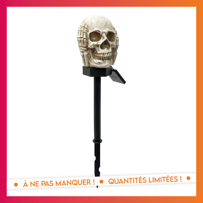 Piquet solaire tete de mort 3ass