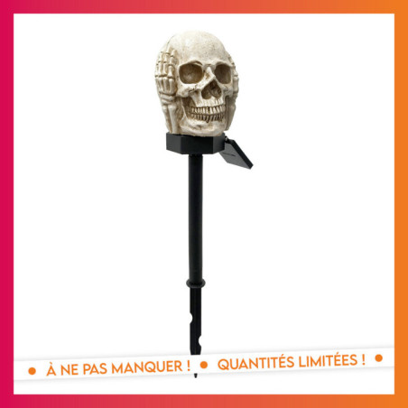 Piquet solaire tete de mort 3ass