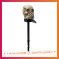 Piquet solaire tete de mort 3ass