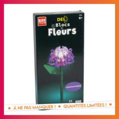 Fleurs led a construire