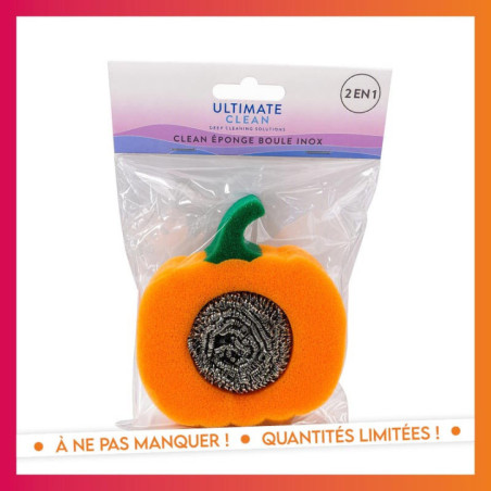 Eponge + boule inox
