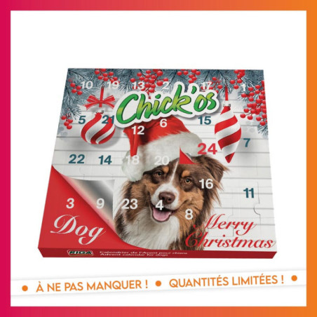 Calendrier de l'avent chien