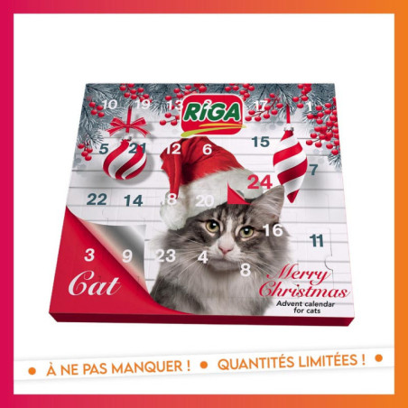 Calendrier de l'avent chat