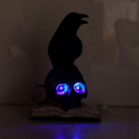 Livre tete de mort et corbeau le
