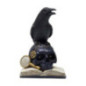 Livre tete de mort et corbeau le