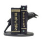 Livre avec corbeau ou squelette