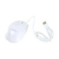Souris filaire