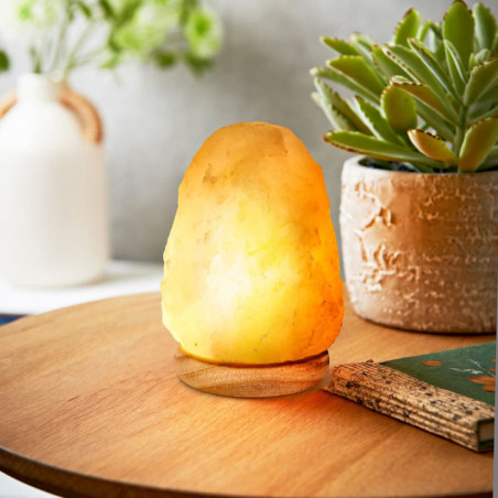 Lampe lunaire en sel