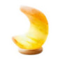 Lampe lunaire en sel