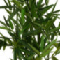 Bambou artificiel en pot