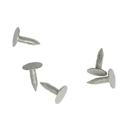 Clous de toit 13mm 250g