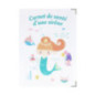 Display 32 carnet sante