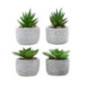 Mini succulente artificielle pot