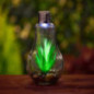 Ampoule led solaire succulente