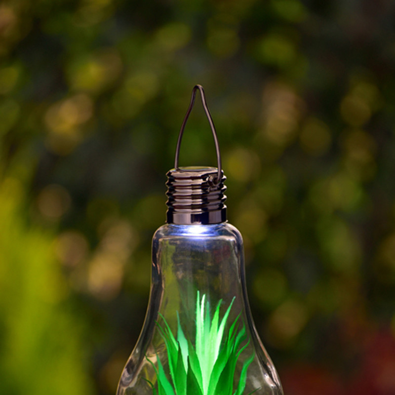 Ampoule led solaire succulente