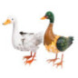 Canard decoratif en metal