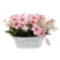 Fleurs des pres pot zinc