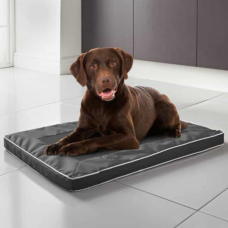 Tapis pour chien ventile