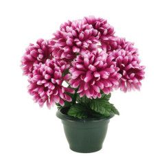 Pot de gerbera/chrysantheme