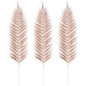 Pack de 3 fougeres/ plumes deco