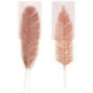 Pack de 3 fougeres/ plumes deco