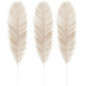 Pack de 3 fougeres/ plumes deco