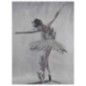 Toile ballerine