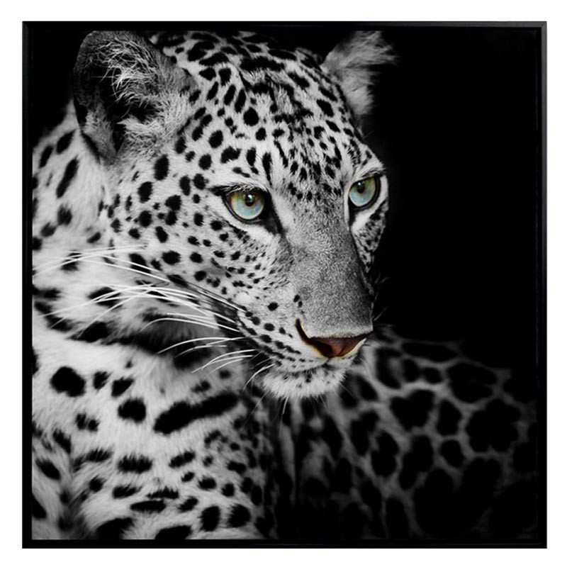 Cadre image leopard noir blanc