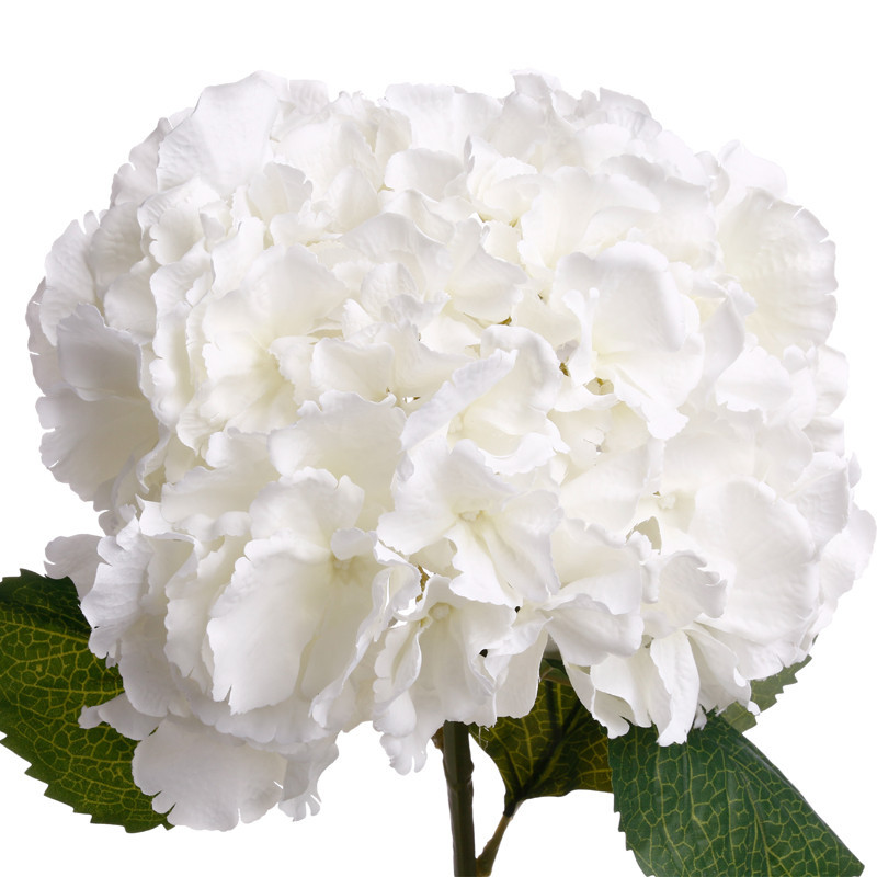 Tige hortensia blanc h83cm