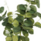 Tige eucalyptus artificiel