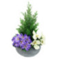 Jardiniere de fleurs