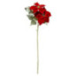 Branche poinsettia 2 tetes 75cm