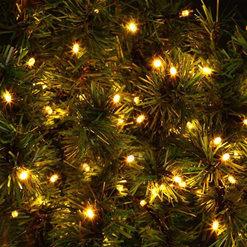 Guirlande extérieur 200 LED blanc chaud/blanc froid 8F - FEERIC CHRISTMAS