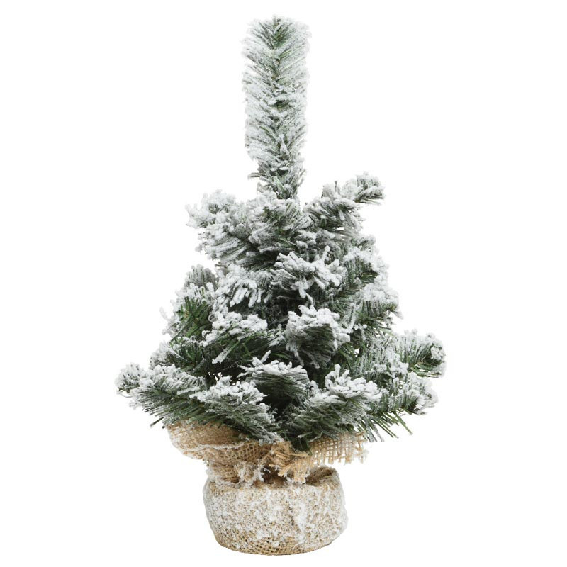 Sapin petit enneige imperial ave