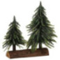 Duo de sapin sur socle bois