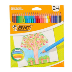 Crayons de couleur x24 bic