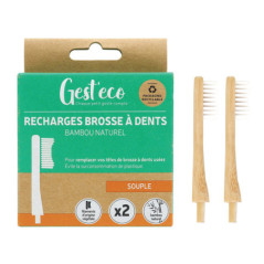 Brosses a dents recharges x2