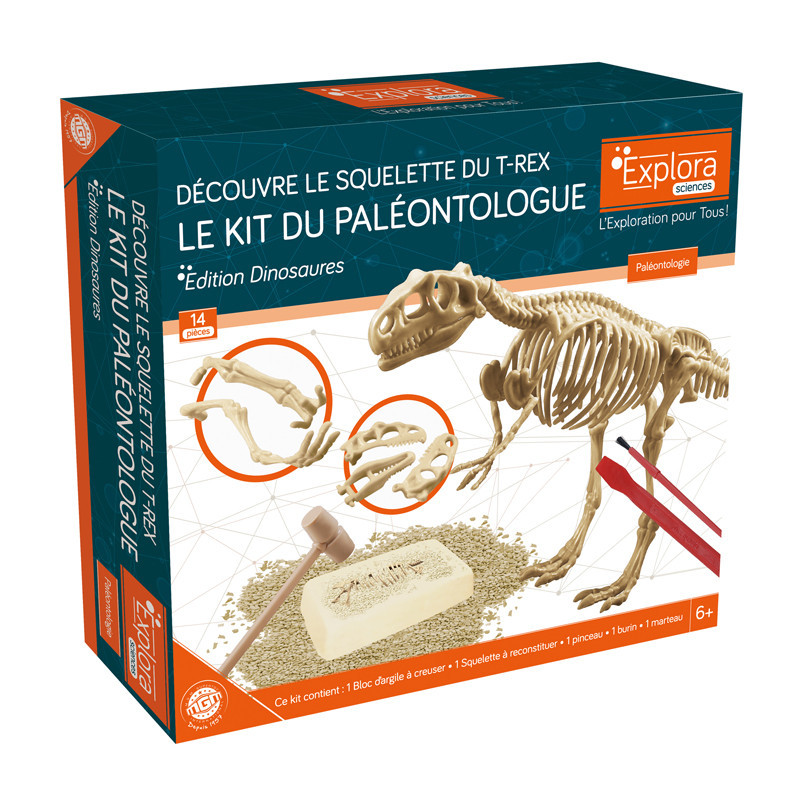 Explora paleontologue - stegosau