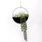 Plantes rond metal noir