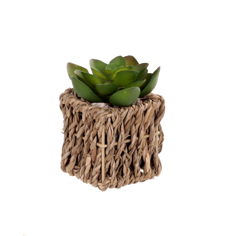 Succulente artificielle pot tres